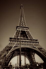 avocate paris